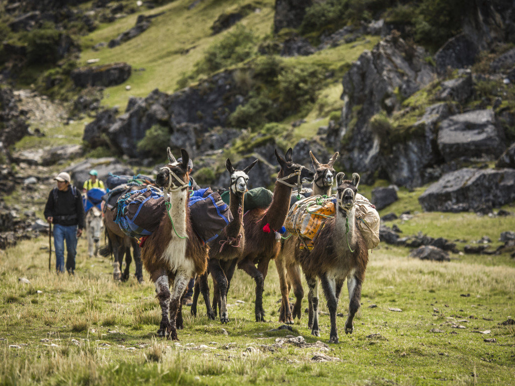camino inca